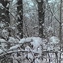  ,  -  12  2014   
