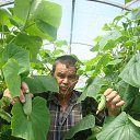 ������ �������