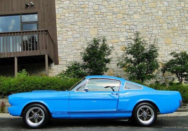 1965 Ford Mustang Shelby GT350 - 4