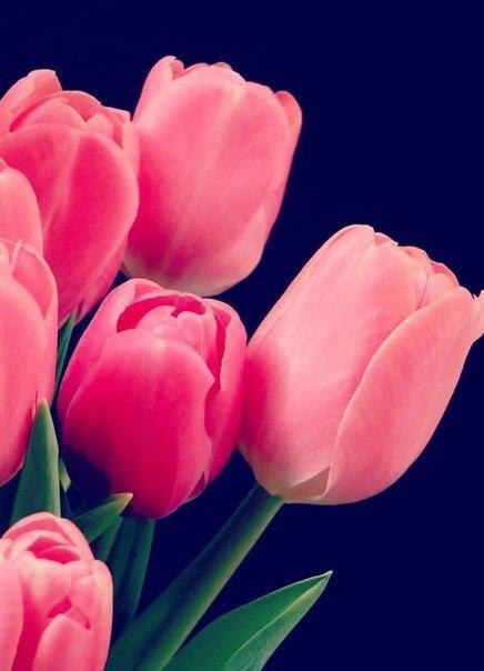    - 9  2014  03:15 - 6