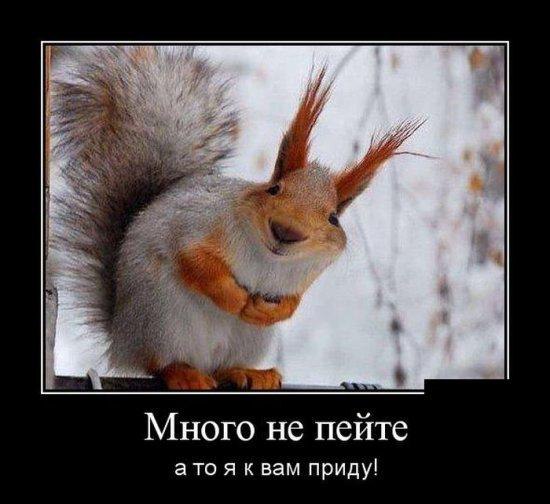   - 29  2014  11:26