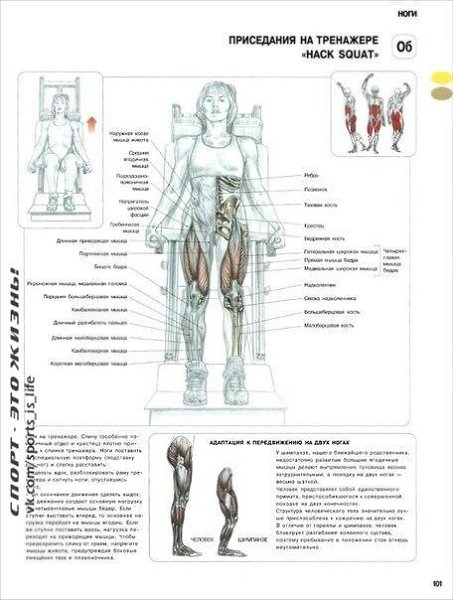Самые эффективные упражнения для женских ног и ягодиц. #SPORT_тренировки@sports_is_life - 7