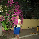 ���� �������, ���� - ��������� 13 ������� 2014 � ������ ������ ������� 2014�