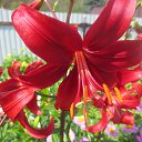 ���� ������, ����������, 69 ��� - ��������� 18 ������� 2014 � ������ ��� ����