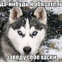 ���� �������, �����, 56 ��� - ��������� 25 ������ 2014 � ������ ������ ��������