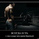 ���� �����, ��������, 41 ��� - ��������� 22 ������ 2014 � ������ ������ ��������
