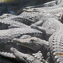 ���� Sergei Anohin, ������, 50 ��� - ��������� 7 �������� 2014 � ������ ������������