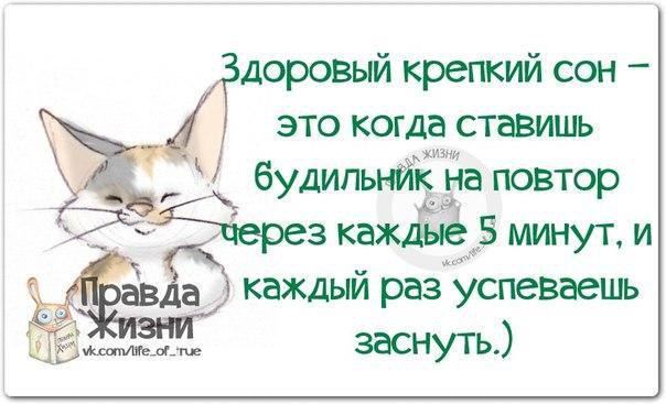 ������ ����� - 11 ������� 2014 � 02:10