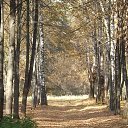 ���� ����, ���������, 58 ��� - ��������� 30 ������� 2014 � ������ ���� ����������