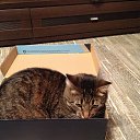 ���� ���������, �����-���������, 57 ��� - ��������� 3 ������� 2014 � ������ ���� ����������