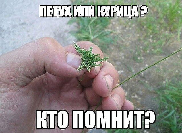    ???
