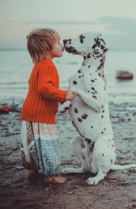   .#animal@travel.blog