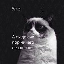 ���� �����, �����-���������, 39 ��� - ��������� 9 ������� 2014 � ������ ���� ����������