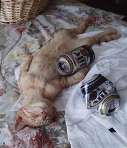  !  ...   : fotostrana.ru/public/237500/