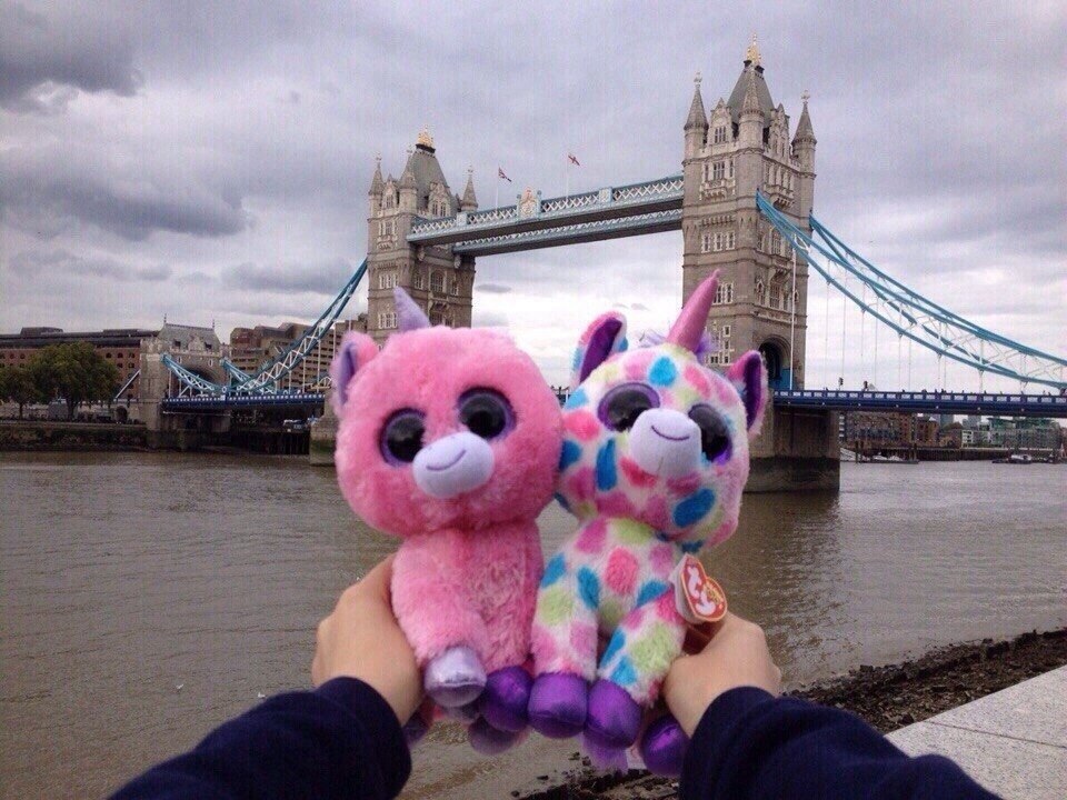 tumblr - 29  2014  17:13