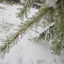  ,  -  21  2014    2014
