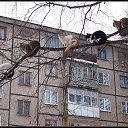 ���� Nat, �����, 59 ��� - ��������� 26 ����� 2015 � ������ ���� ����������