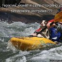  Viktor, , 41  -  11  2015    