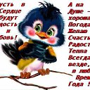 ���� �������, ������� - ��������� 22 ����� 2015 � ������ ������ ��������