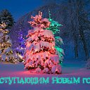  ,  -  1  2015    