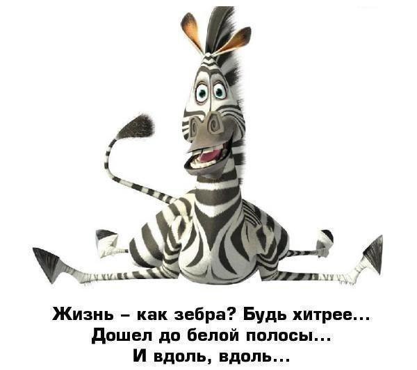 LIFE -  - 11  2015  04:26