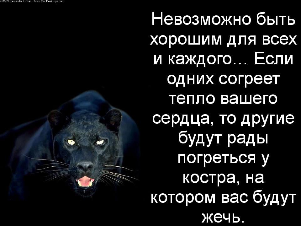  -    ))) - 4  2015  23:26