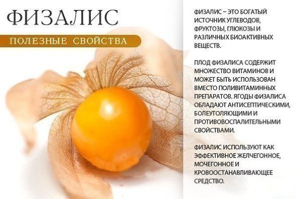 Забери себе на стену полезные оранжевые фрукты, овощи и ягоды)) - 7