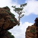 ���� �����, �����, 45 ��� - ��������� 13 ����� 2015 � ������ ������ ��������