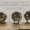���� ����, �����������, 39 ��� - ��������� 28 ������� 2015 � ������ ���� ����������