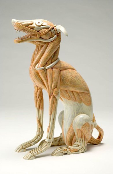 #Art@ofdesign.  Masao Kinoshita - 4