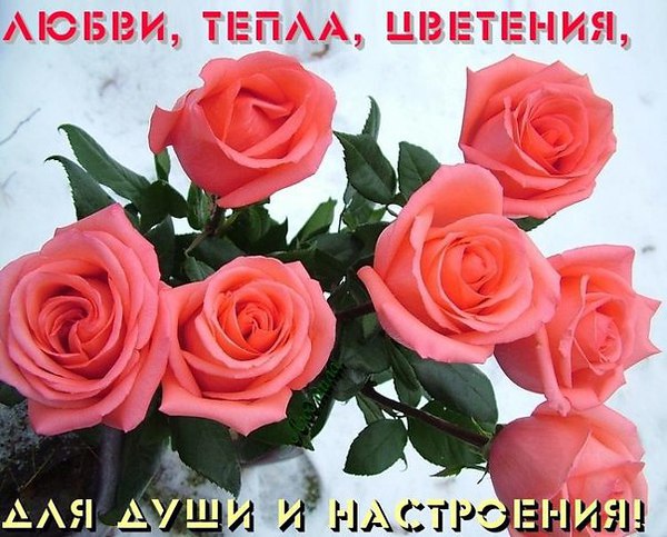   - 15  2015  14:38