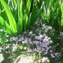 ���� ������, �������, 43 ���� - ��������� 6 ������ 2015 � ������ ���� ����������