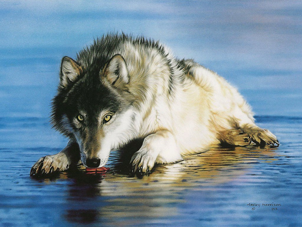   .  (Lesley Harrison)   .     ... - 9