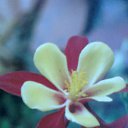 ���� ������, ����������� - ��������� 7 ������ 2015