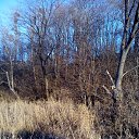 ���� Irina, ����������� - ��������� 15 ������� 2014 � ������ ���������