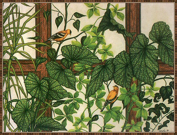 Varios Artists - 162