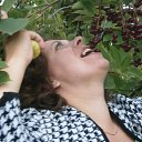 ���� ����, ��������� - ��������� 8 ������ 2015 � ������ ���� ����������