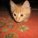 ���� Andygo, ��������� - ��������� 29 ������ 2015 � ������ �Love�