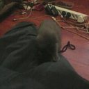 ���� ����, ������ - ��������� 14 ������� 2014 � ������ ���� ����������