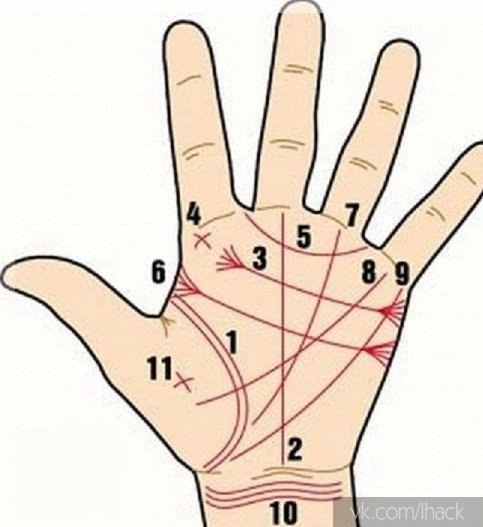 ����� �����.1. ������������ � �������� � ������� ���� ����� (������� ����� �����)2. ���������� ...