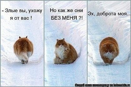       - 5  2015  14:30