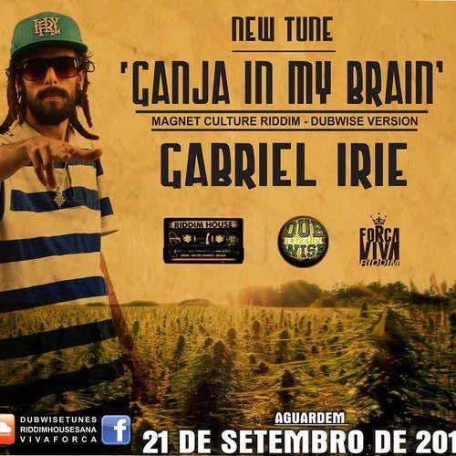 Gabriel Irie - Ganja in my Brain (Magnet Culture Riddim) - Dubwise Version.ARTIST: - GABRIEL ...