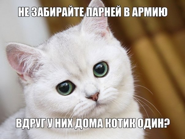     - 24  2015  05:02