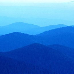 �����, ���������, 54 ����