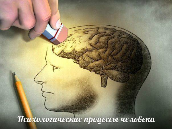 ЧЕЛОВЕЧЕСКАЯ ПСИХИКА ОСТАЕТСЯ ОДНОЙ ИЗ САМЫХ БОЛЬШИХ ЗАГАДОК В МИРЕ. Знали ли вы, насколько ошибочны ...