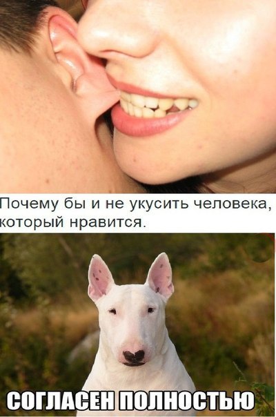    :D - 10  2015  17:40