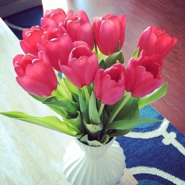   |  |  - 26  2015  18:42