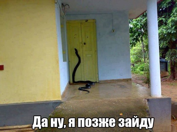 ������������ ���� - 9 ������ 2015 � 15:09