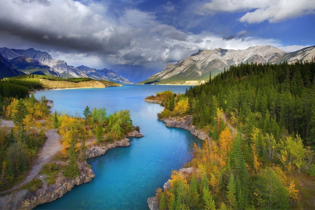     .   (Kevin McNeal),  . ... - 9