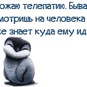  , , 38  -  10  2015   Ż